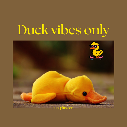 Short Duck Puns