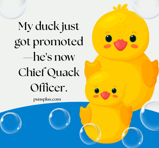 Duck Puns