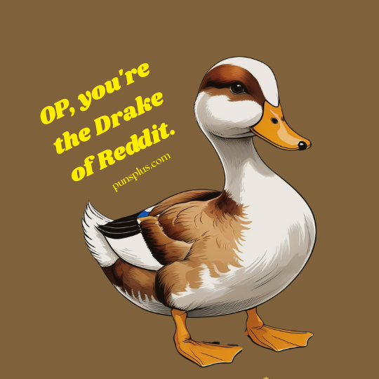Duck Puns Reddit