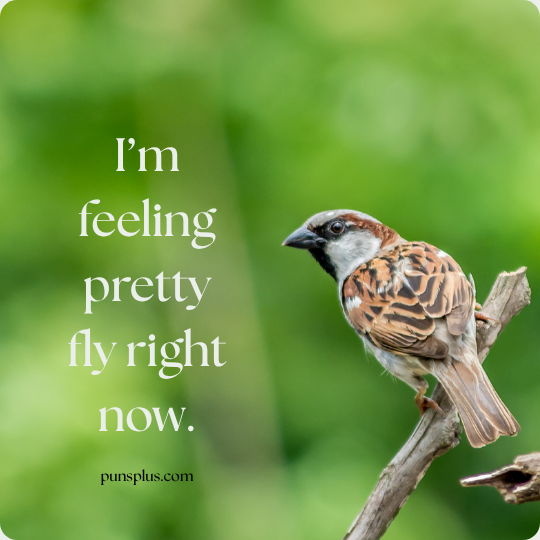 bird Puns 