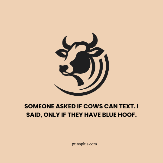 Cow Puns reddit 