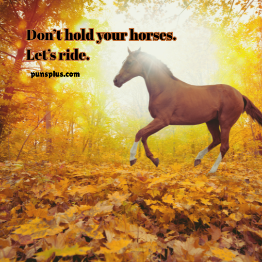 horse puns 