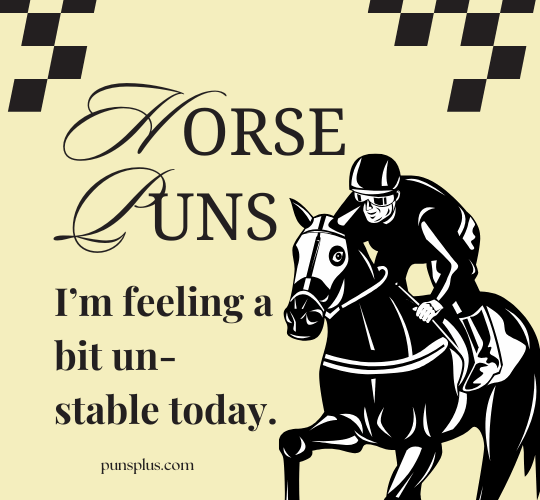 horse puns